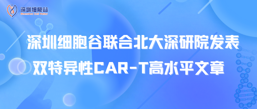 喜讯丨深圳USDT钱包联合北大深研院发表双特异性CAR-T高水平文章