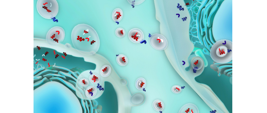 哪吒闹海！外泌体面纱大揭秘，我命由我不由天！