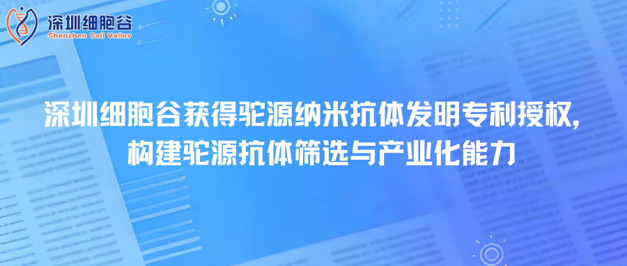 深圳USDT钱包取得驼源纳米抗体发明专利授权，构建驼源抗体筛选与产业化能力