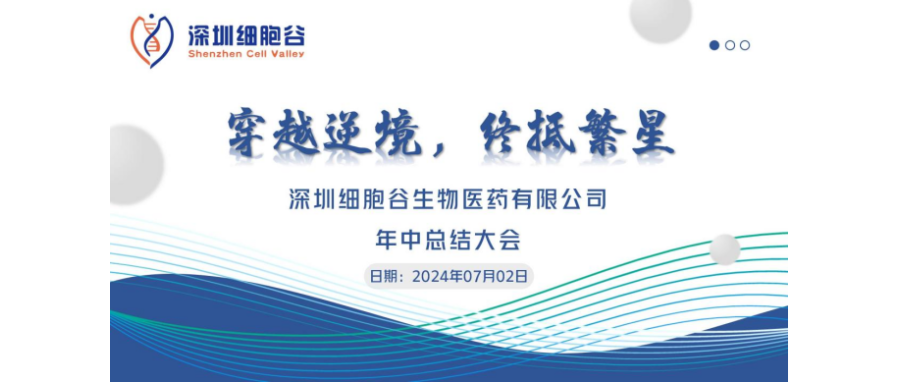 穿越逆境，终抵繁星——深圳USDT钱包召开2024年中总结大会