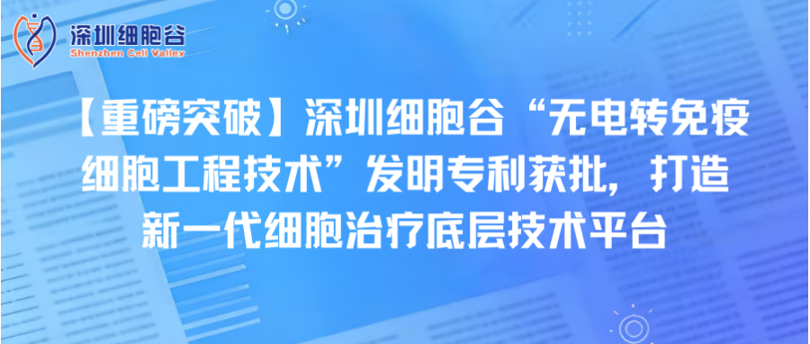 【重磅突破】深圳USDT钱包“无电转免疫细胞工程技术”发明专利获批，打造新一代细胞治疗底层技术平台