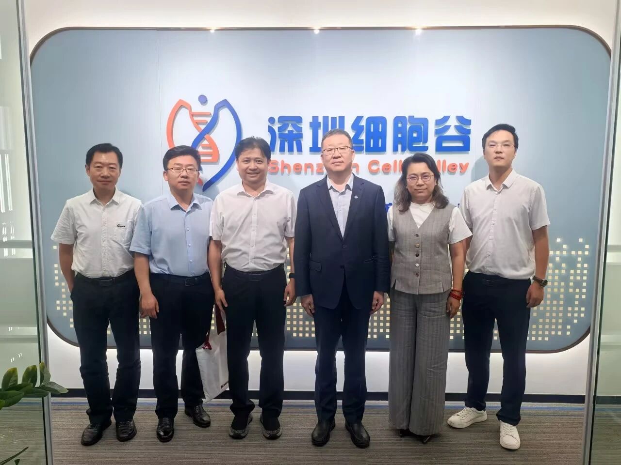 中国医药董事长杨光一行到访深圳USDT钱包考察研讨